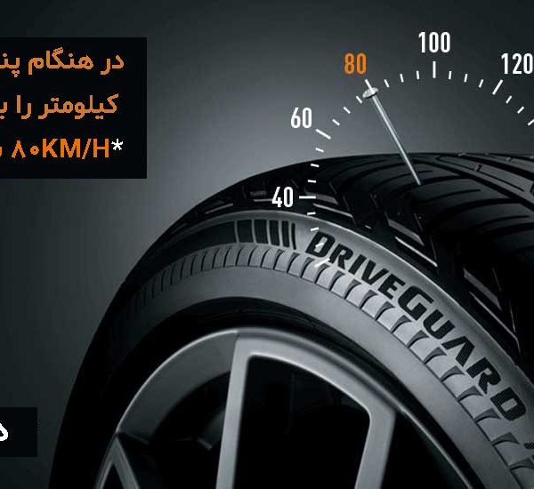 Driveguard3 1100x550